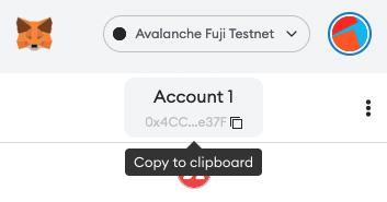 Metamask Account Public Address